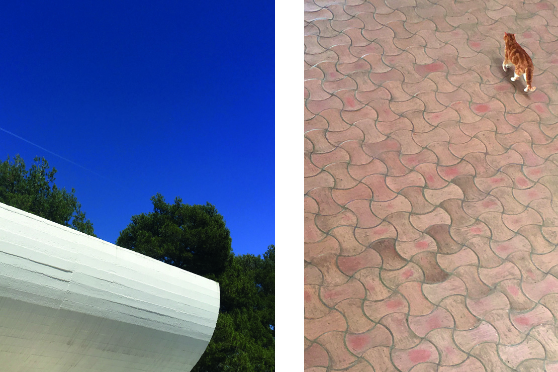 The Fondation Maeght gallery built in 1960s using board marked concrete, terracotta tiles and local stone, set in a nearby mediterranean garden provided inspiration for the new guest house.