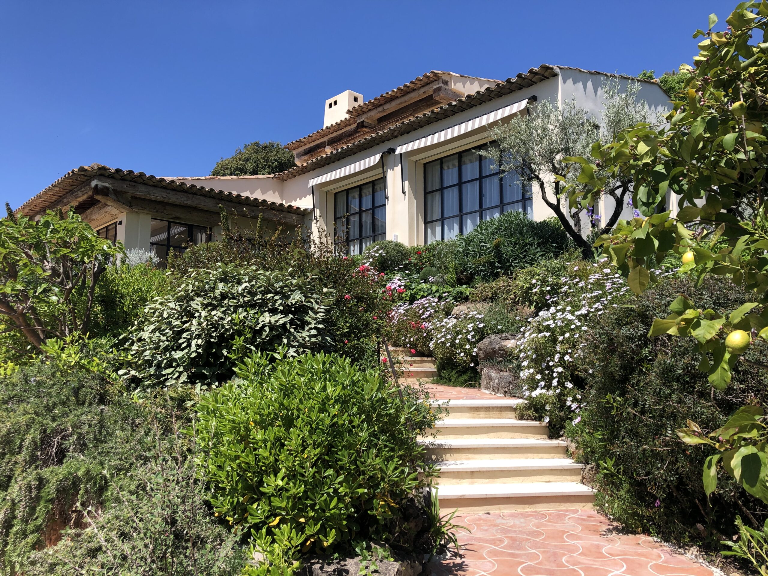 The mature garden has been redesigned and replanted to enable discovery of shaded pavilions and a new-build guest house in the seclusion of the pine trees overlooking the Mediterranean.